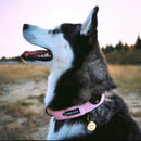 Keepaws™ Tactical AirTag Collar