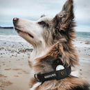 Keepaws™ Tactical AirTag Collar